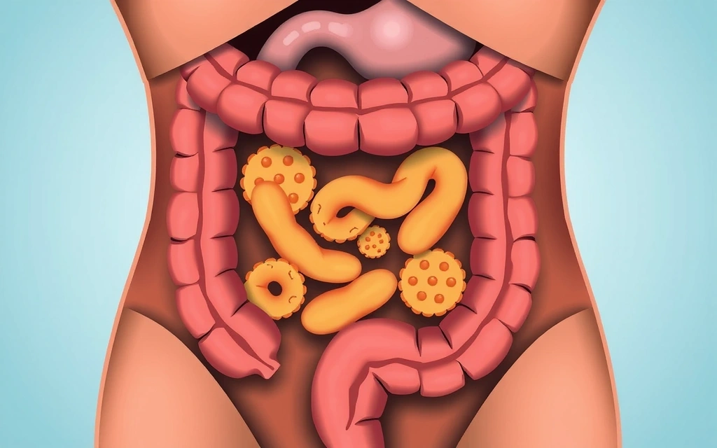 Detalle de un intestino sano